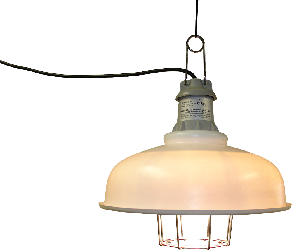 Cargo Lights